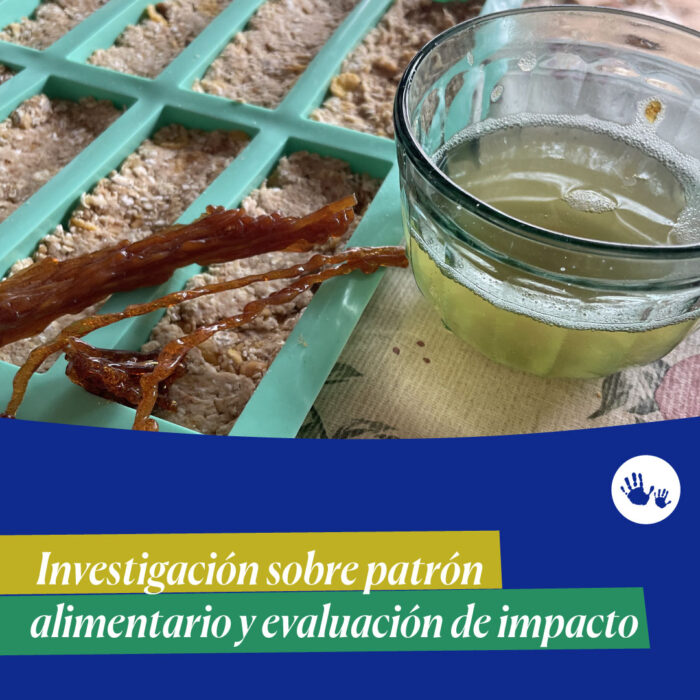 Investigación sobre patrón alimentario y evaluación de impacto.